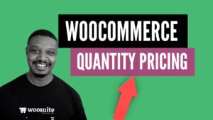 How to change product price on WordPress